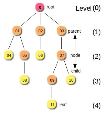 Tree Graph